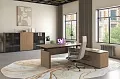 Кабинет руководителя Ион