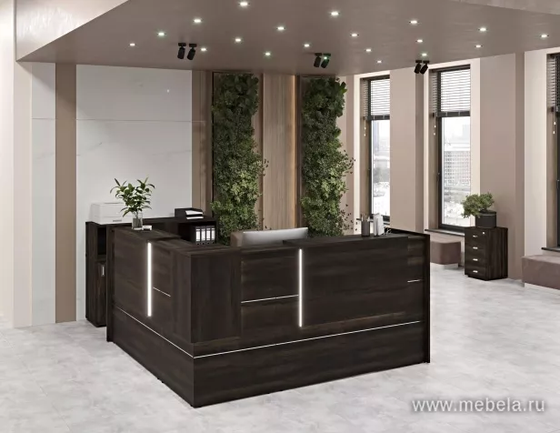 ресепшн Оникс Мали