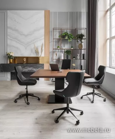 кабинет Тесла