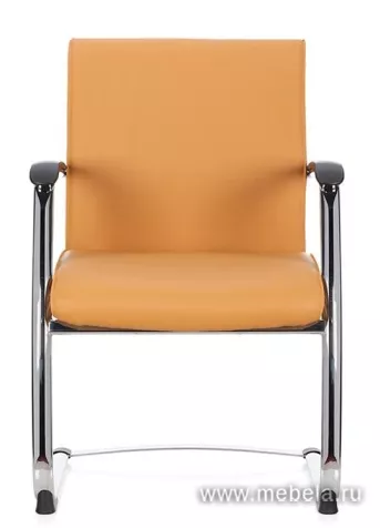 кресло Берн D40