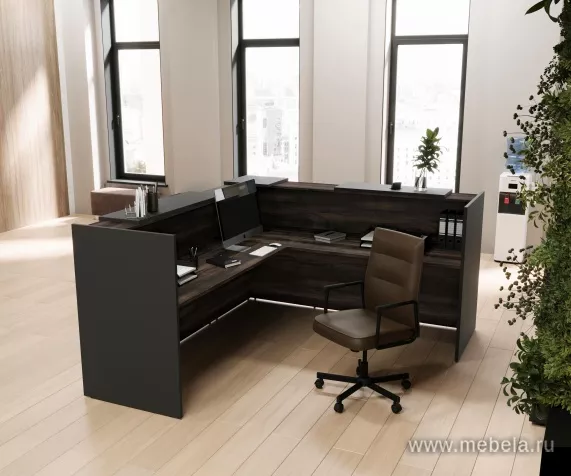 ресепшн Оникс Мали