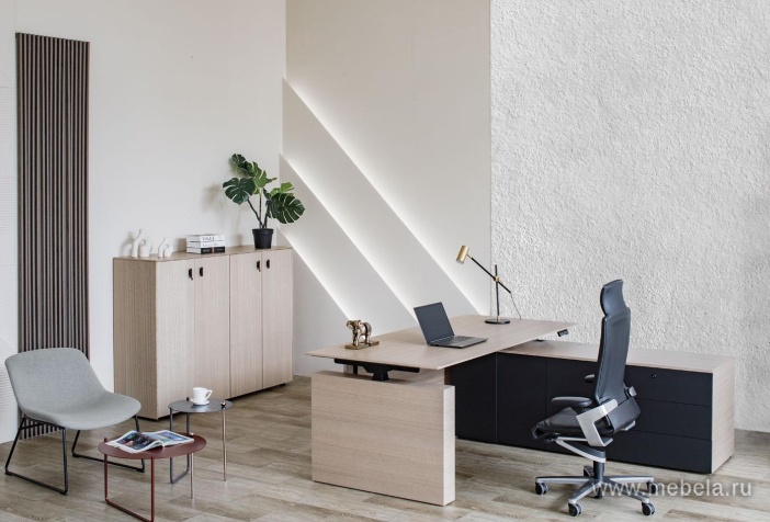 кабинет Tesla