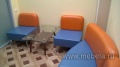 Дар мебель