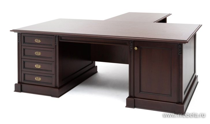 кабинет директора Doge