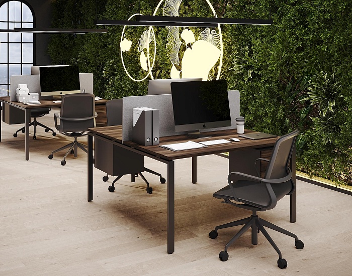 фото мебель Concept					